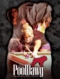 PoolDawg Billiards Catalog